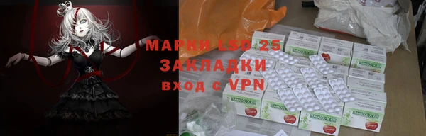 стафф Алексин