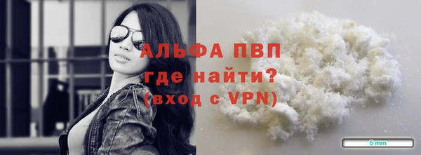 стафф Алексин